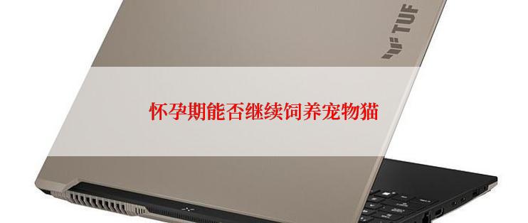 怀孕期能否继续饲养宠物猫