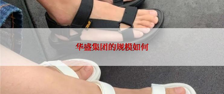 华盛集团的规模如何