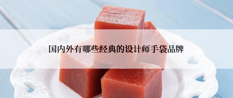 国内外有哪些经典的设计师手袋品牌