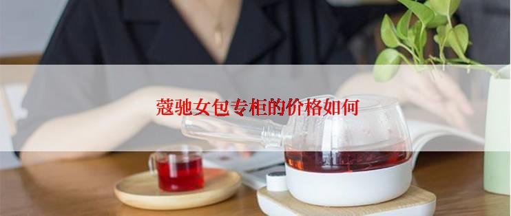  蔻驰女包专柜的价格如何