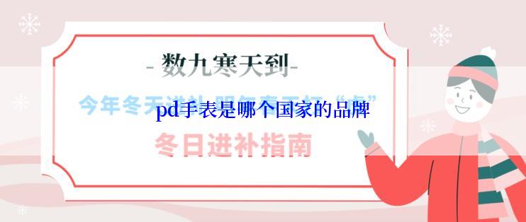 pd手表是哪个国家的品牌