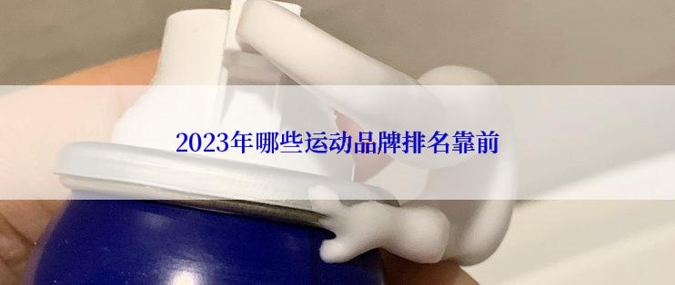 2023年哪些运动品牌排名靠前