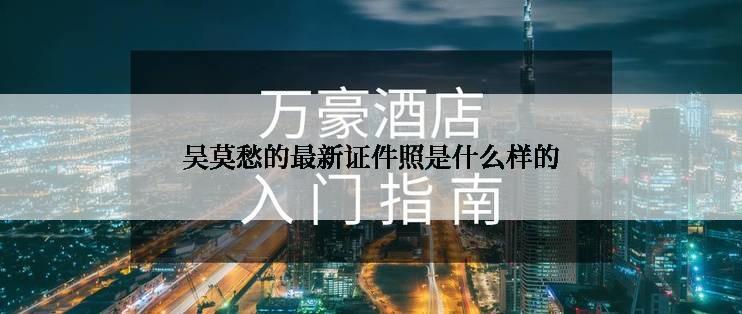 吴莫愁的最新证件照是什么样的