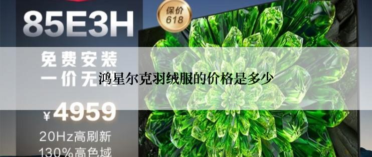 鸿星尔克羽绒服的价格是多少