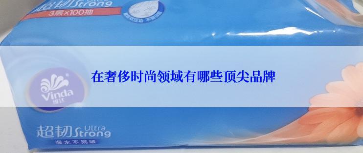  在奢侈时尚领域有哪些顶尖品牌