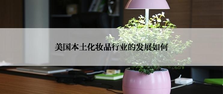 美国本土化妆品行业的发展如何