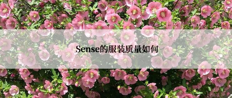  Sense的服装质量如何