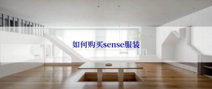 如何购买sense服装