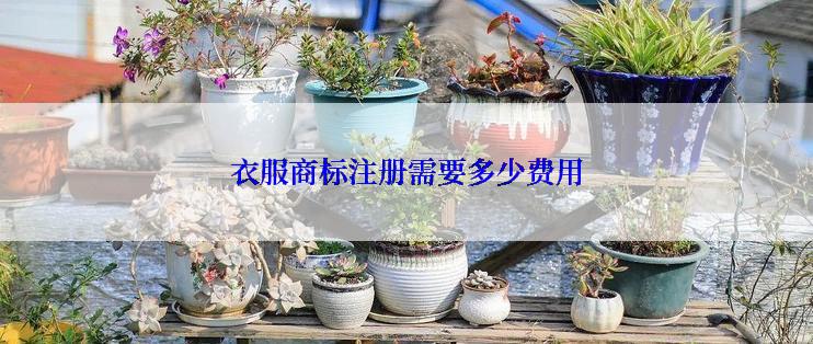 衣服商标注册需要多少费用