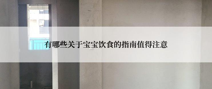 有哪些关于宝宝饮食的指南值得注意