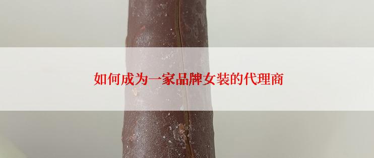  如何成为一家品牌女装的代理商