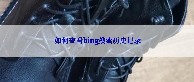  如何查看bing搜索历史记录