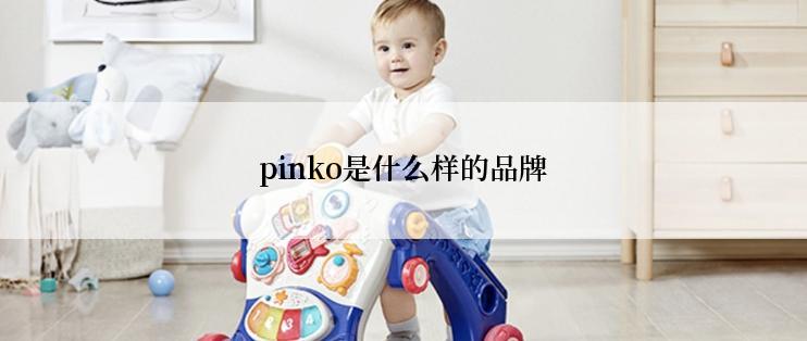 pinko是什么样的品牌