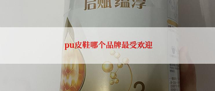  pu皮鞋哪个品牌最受欢迎