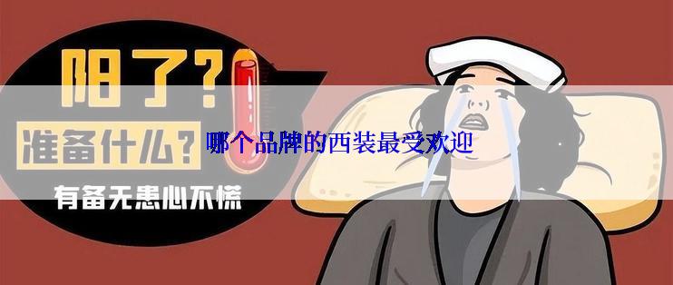  哪个品牌的西装最受欢迎