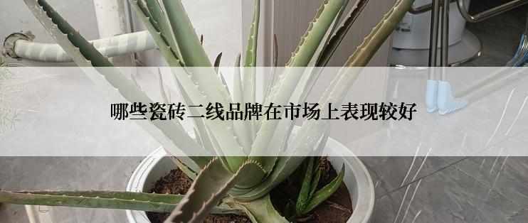 哪些瓷砖二线品牌在市场上表现较好