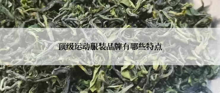 顶级运动服装品牌有哪些特点