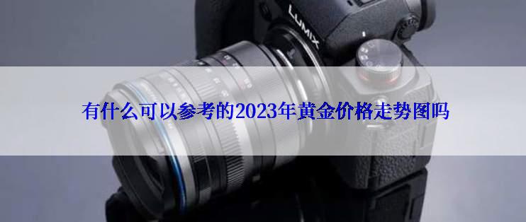  有什么可以参考的2023年黄金价格走势图吗