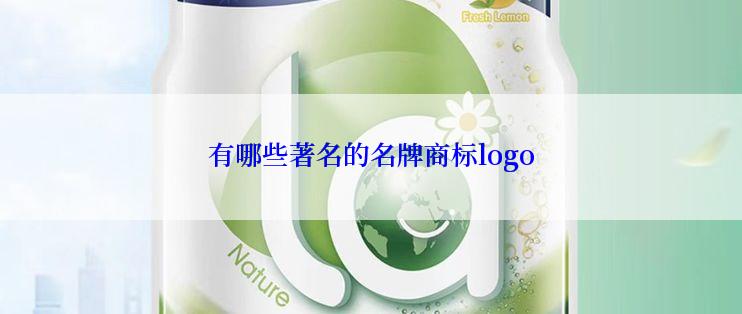 有哪些著名的名牌商标logo