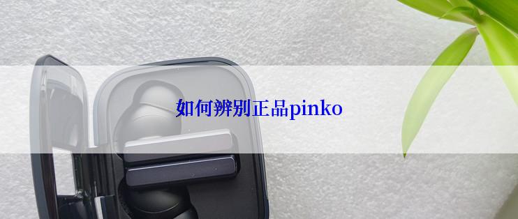 如何辨别正品pinko