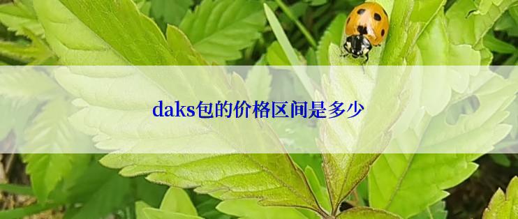 daks包的价格区间是多少