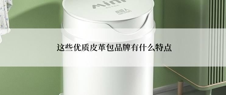  这些优质皮革包品牌有什么特点