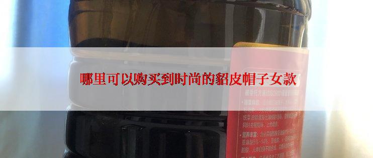  哪里可以购买到时尚的貂皮帽子女款