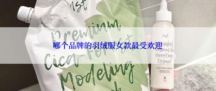 哪个品牌的羽绒服女款最受欢迎