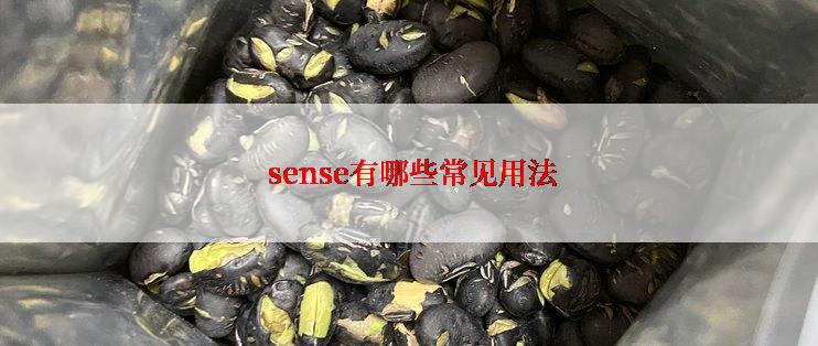  sense有哪些常见用法