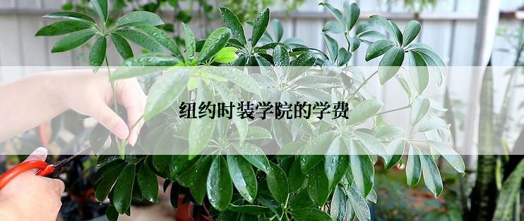  纽约时装学院的学费