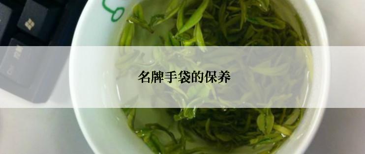  名牌手袋的保养