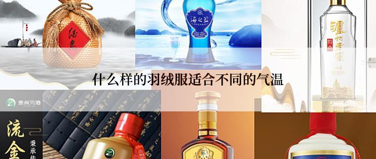 什么样的羽绒服适合不同的气温