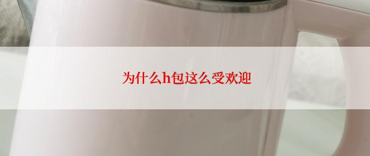  为什么h包这么受欢迎