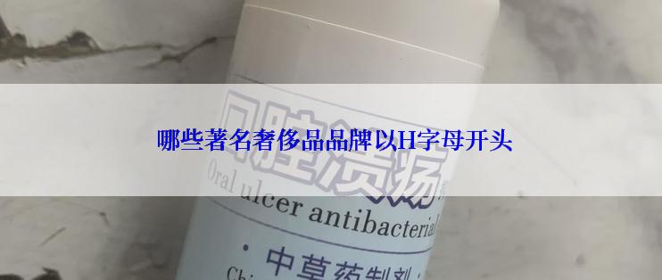  哪些著名奢侈品品牌以H字母开头