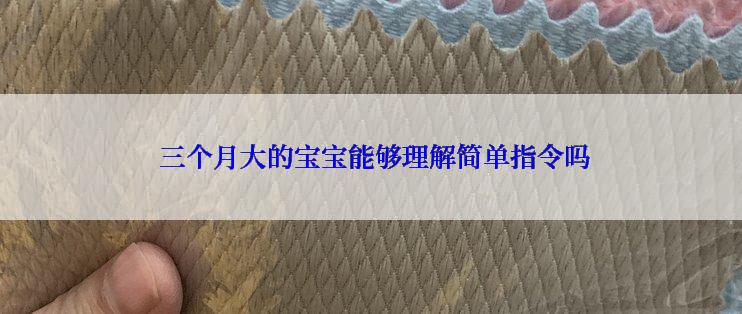  三个月大的宝宝能够理解简单指令吗