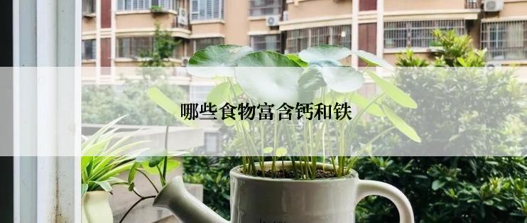  哪些食物富含钙和铁