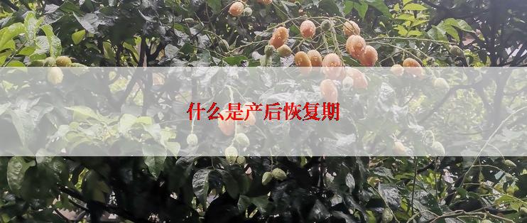 什么是产后恢复期