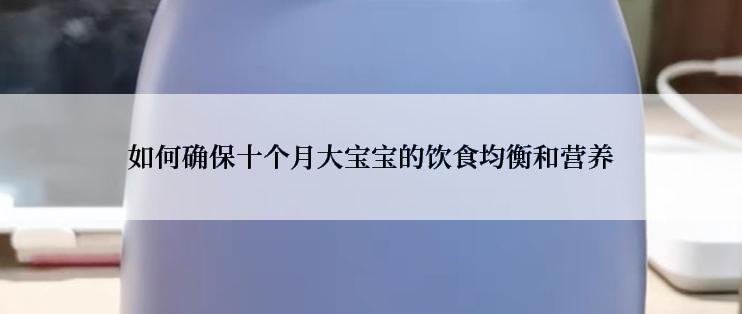 如何确保十个月大宝宝的饮食均衡和营养