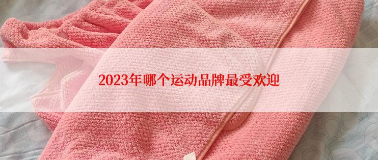 2023年哪个运动品牌最受欢迎