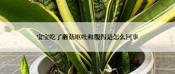 宝宝吃了蘑菇呕吐和腹泻是怎么回事