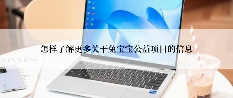 怎样了解更多关于兔宝宝公益项目的信息